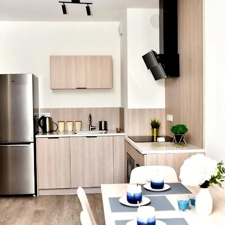 Apartment Vip Number 10